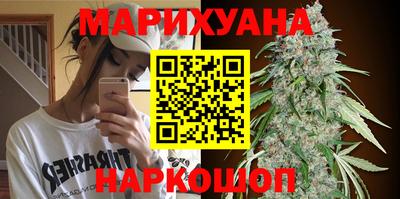 сатива Усть-Джегута