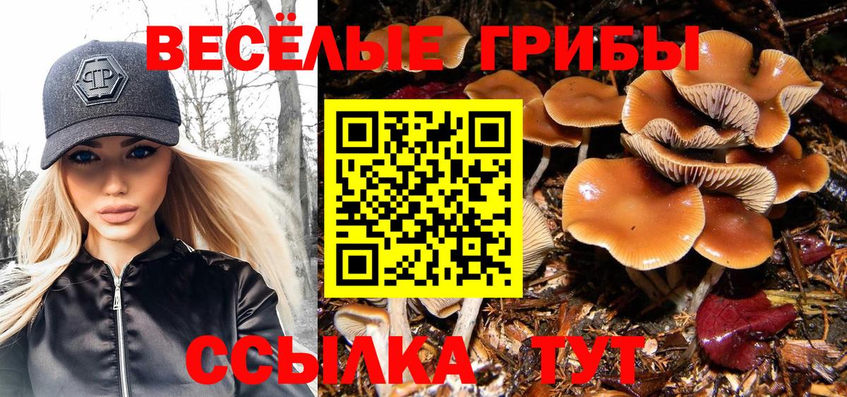 Псилоцибиновые грибы Psilocybe  Вход с VPN  Обь 