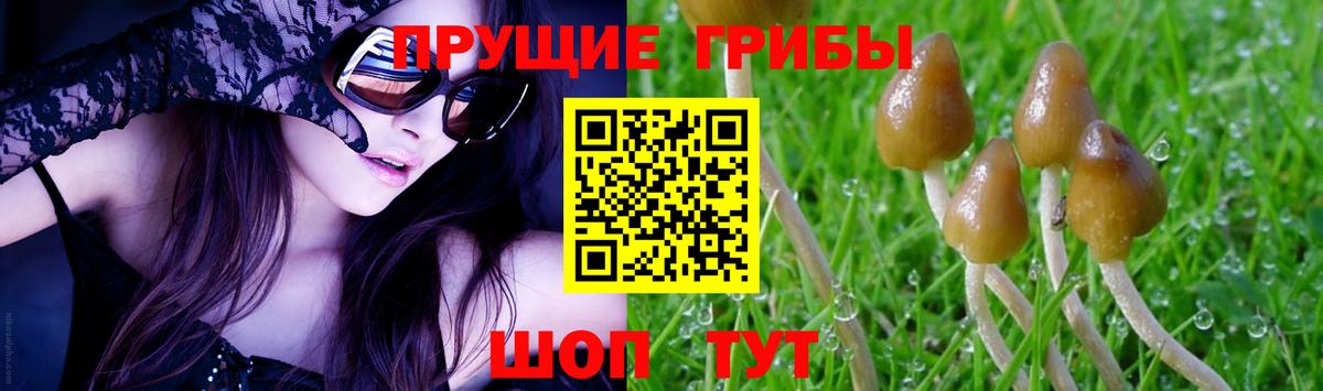 Псилоцибиновые грибы мухоморы Обь